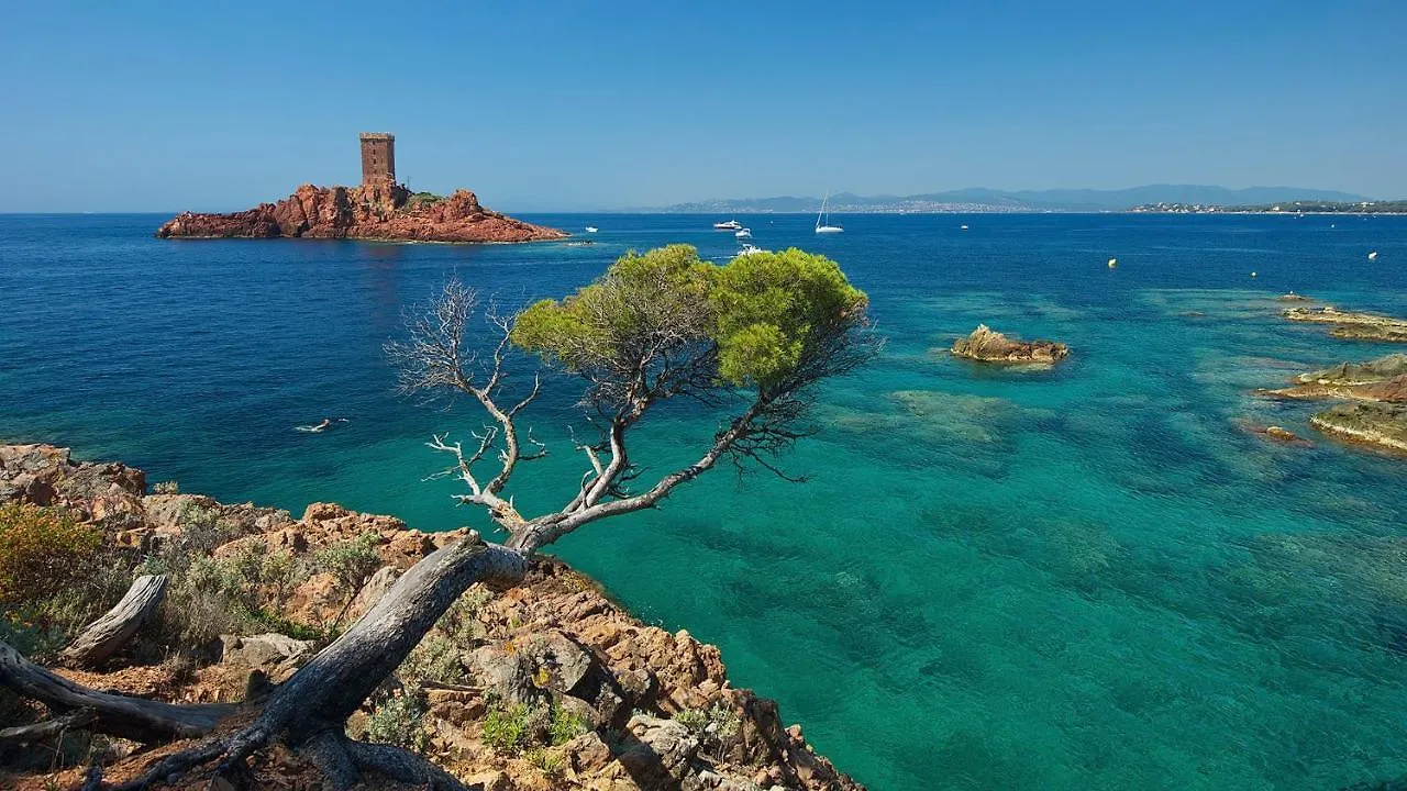 Bed and Breakfast Le Saint Louis Plage Toulon 2*,